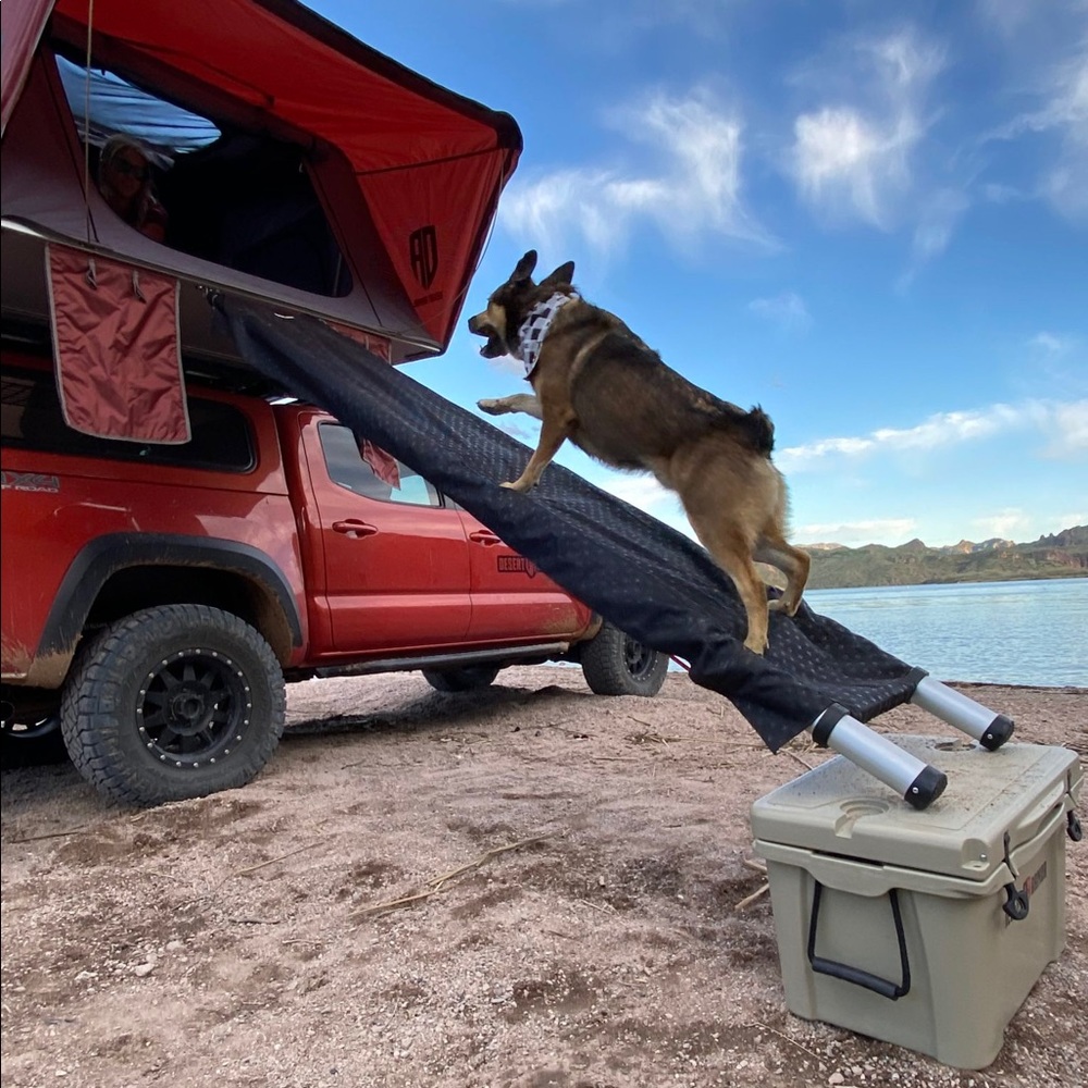 DOGGO RTT Ramp - Picture 8 of 9